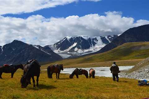MONGOLIA HORSE TREKKING TOUR 2024 - Discover Altai