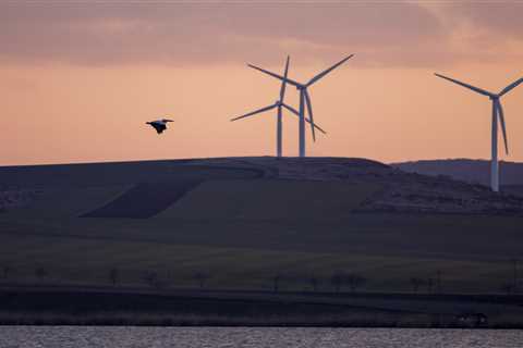Renewable energy needs landscape planning to safeguard nature recovery
