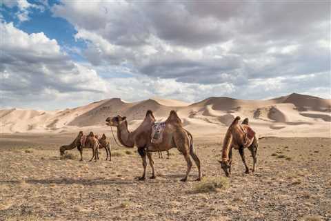 Gobi Gurvansaikhan National Park: A Haven of Biodiversity and Cultural Heritage in Mongolia's..