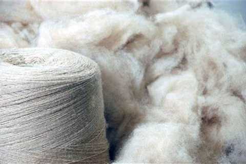 Mongolian Cashmere: 5 interesting things of the Luxury of the Steppes