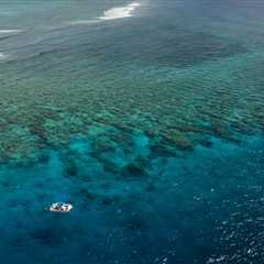 Discover the Importance of Fiji’s Great Sea Reef