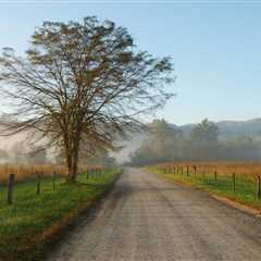 Guide to Cades Cove: The Most Popular Place to Visit in Great Smoky Mountains National Park