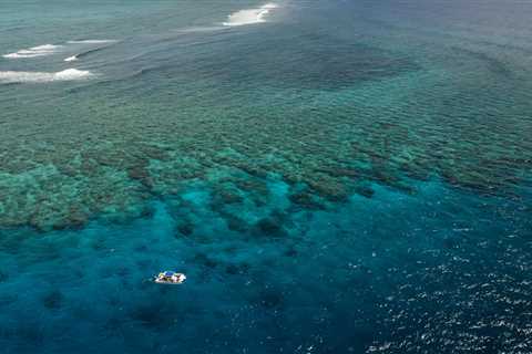 Discover the Importance of Fiji’s Great Sea Reef