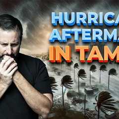 Living in Tampa Bay LIVE | Hurricane Debby’s Effect on the Bay Area