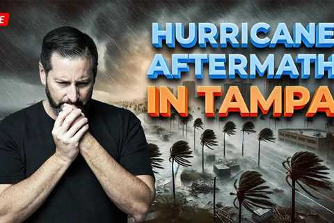 Living in Tampa Bay LIVE | Hurricane Debby’s Effect on the Bay Area