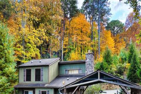 The Insider's Guide to Booking Recreational Rentals in Northeastern North Carolina