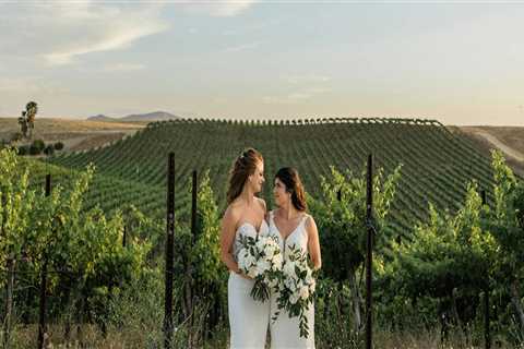 Top Benefits Of Booking Vineyard Tours Through A Destination Wedding Travel Agent