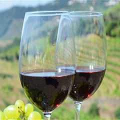 The Top Benefits of Joining Guided Wine Tours With Experts