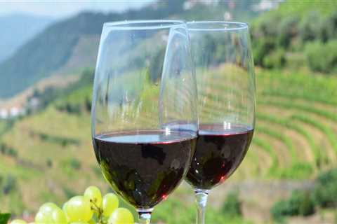 The Top Benefits of Joining Guided Wine Tours With Experts