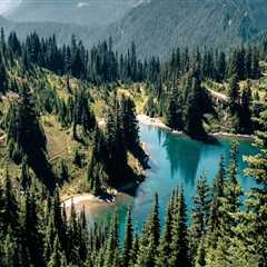 Discovering the Natural Wonders of Western Oregon: National Parks and Forests