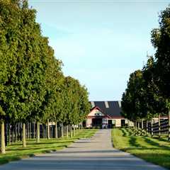 Discovering the Hidden Gems of Nicholasville, Kentucky