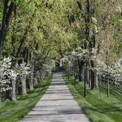 The Best Romantic Date Spots near Popular Attractions in Nicholasville, Kentucky