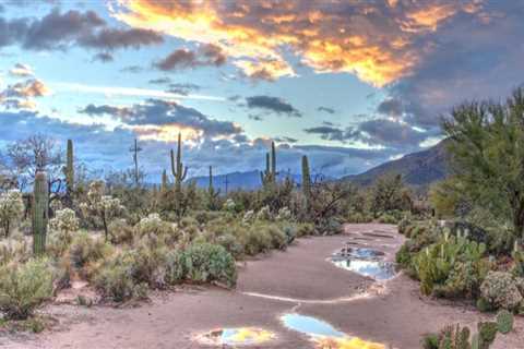 Unleashing Creativity: Discovering the Magic of East Valley, Arizona