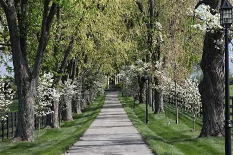 The Best Romantic Date Spots near Popular Attractions in Nicholasville, Kentucky