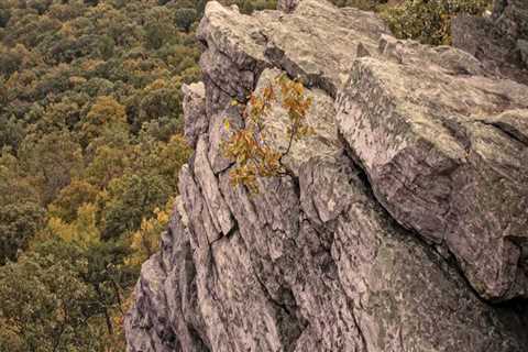 Experience the Breathtaking Views of Southern Maryland