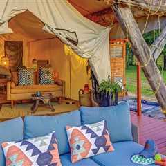 Maximizing Brand Visibility For Wine Tours In Houston, TX Using Vehicle Wrapping Service