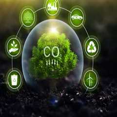 The Environmental Equation: Balancing the Carbon Cost of Air Moves with Sustainability Offsets