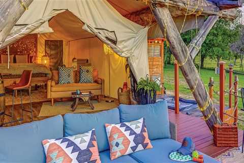 Maximizing Brand Visibility For Wine Tours In Houston, TX Using Vehicle Wrapping Service