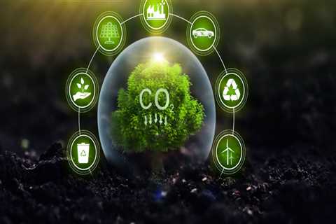 The Environmental Equation: Balancing the Carbon Cost of Air Moves with Sustainability Offsets