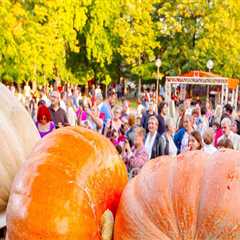 Exploring the Vibrant Events and Festivals in Central North Carolina: A Guide for Tourists