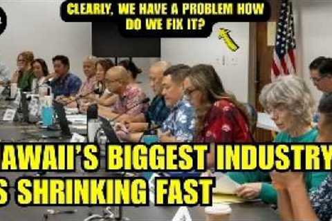 The TRUTH About Hawaii’s Tourism Decline That U S  Officials Won’t Say Out Loud