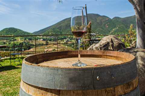 Wine Tours That Combine Tastings With Outdoor Exploration